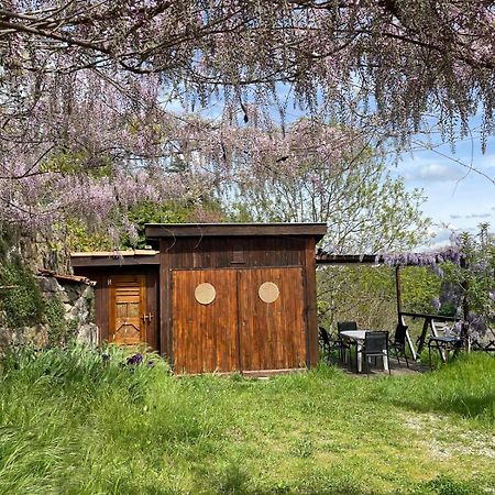 Le Chalet Du Parc アノネー エクステリア 写真