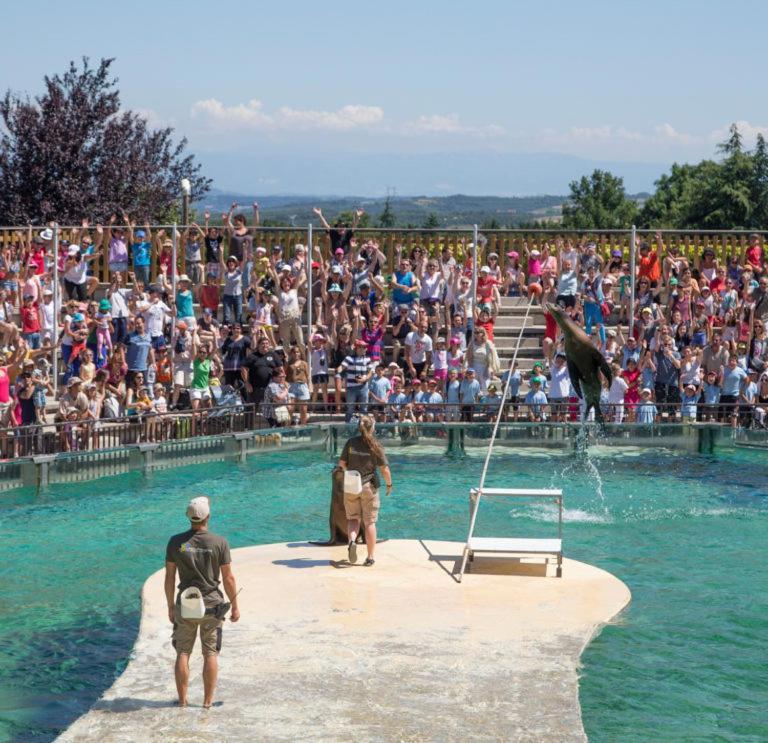 Le Chalet Du Parc アノネー エクステリア 写真
