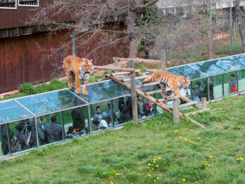 Le Chalet Du Parc アノネー エクステリア 写真