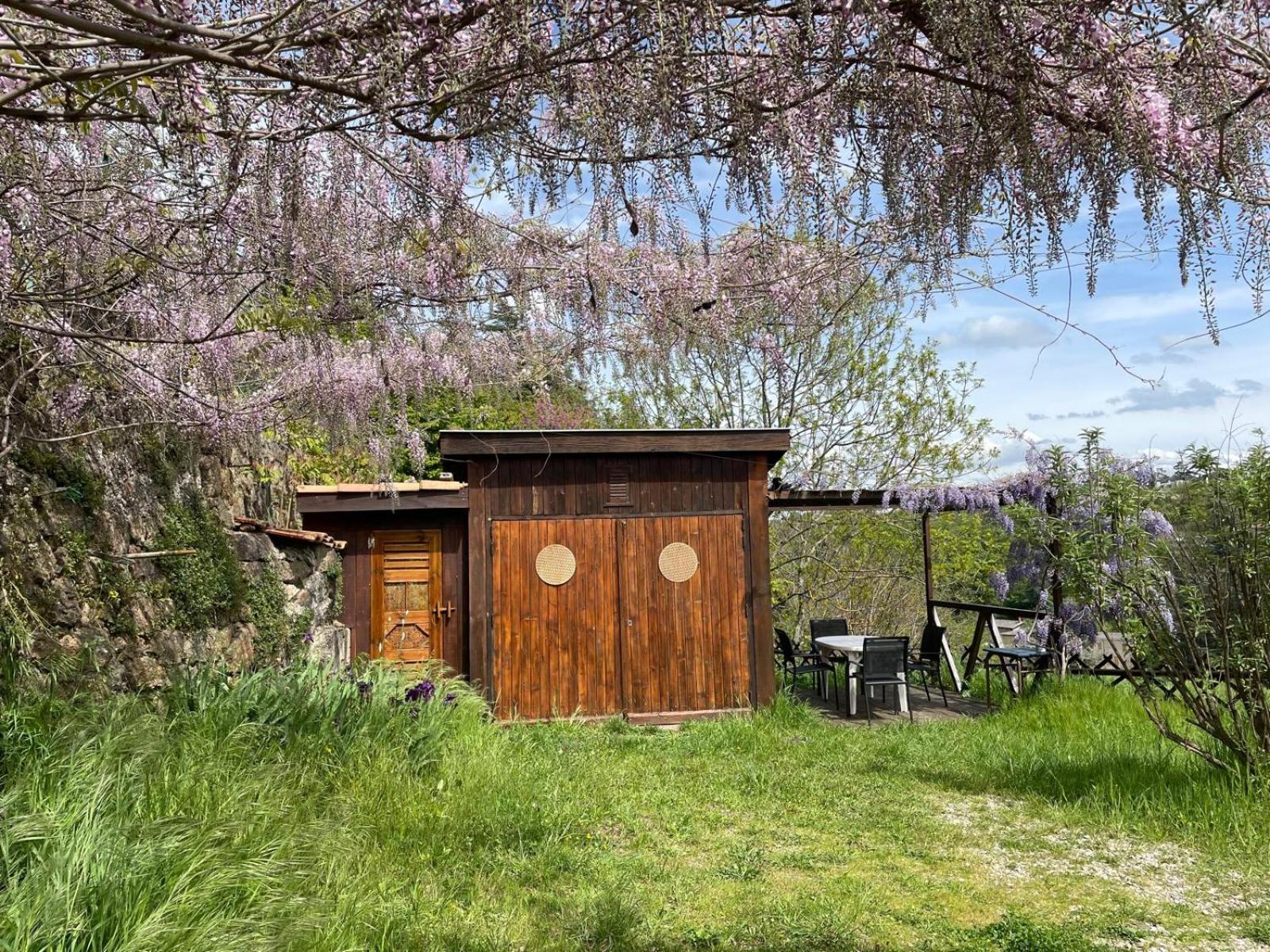 Le Chalet Du Parc アノネー エクステリア 写真